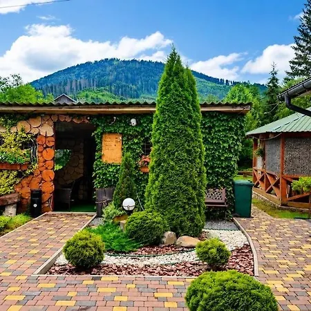 у брусків Lodge