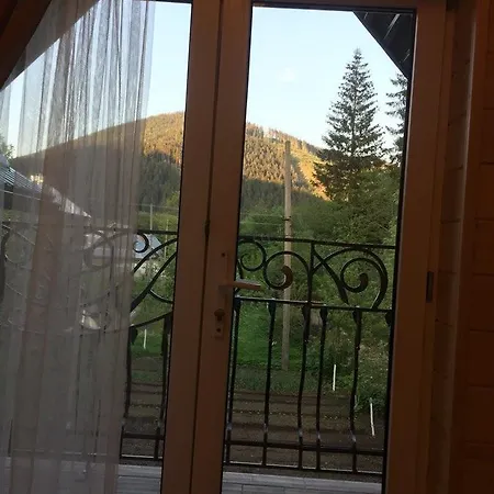 у брусків Mizhhirya (Transcarpathia)