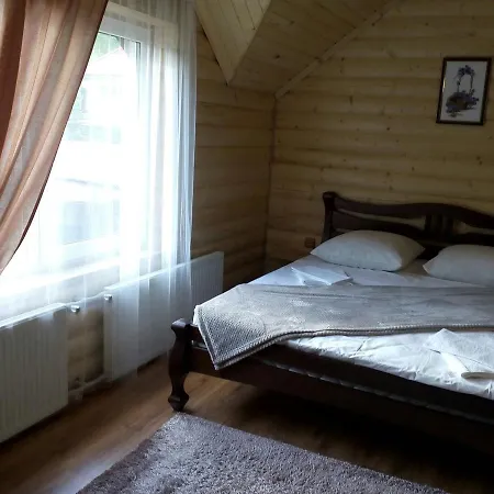 у брусків Mizhhirya (Transcarpathia)