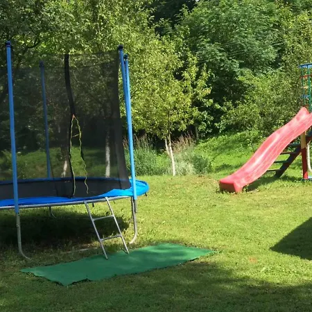 у брусків Mizhhirya (Transcarpathia)