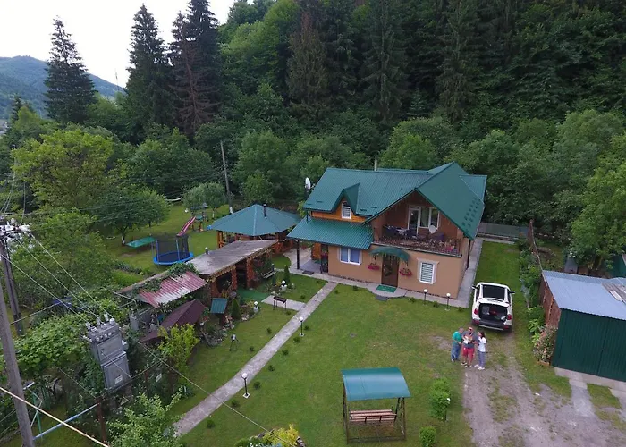 у брусків Mizhhirya (Transcarpathia)