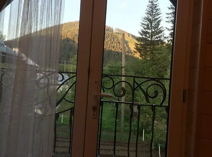 у брусків Mizhhirya (Transcarpathia)