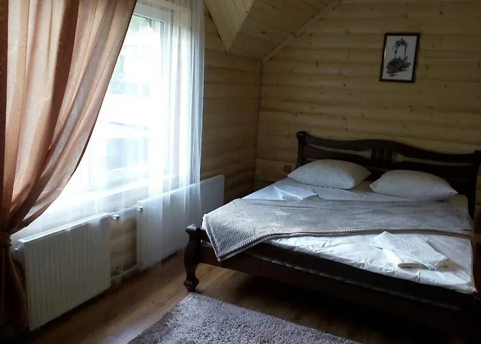 у брусків Mizhhirya (Transcarpathia)